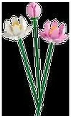 Playset Lego 40647 Lotus Flower