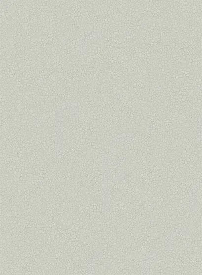 Tapete Pebble von Cole and Son - Pale Grey