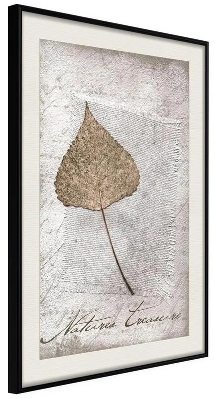 Poster  Dried Leaf  Cornice Quadri Cornice nera con pass-partout, Larghezza x Altezza Home decor 40x60