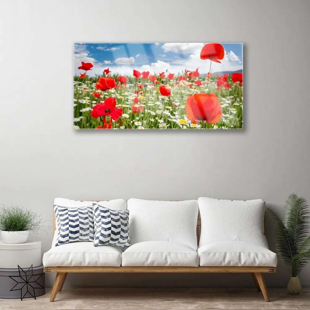 Quadro acrilico Prato, fiori, natura 100x50 cm