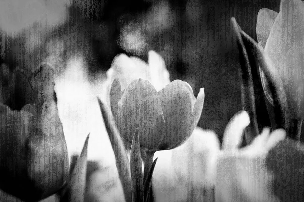 Carta da parati – Tulipani in bianco e nero in stile retrò