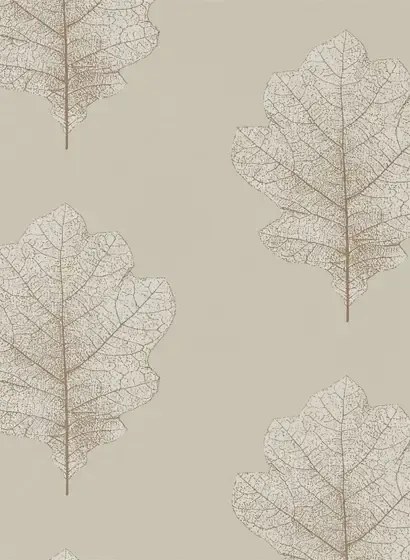 Sanderson Carta da parati Oak Filigree - Stone/ Gilver