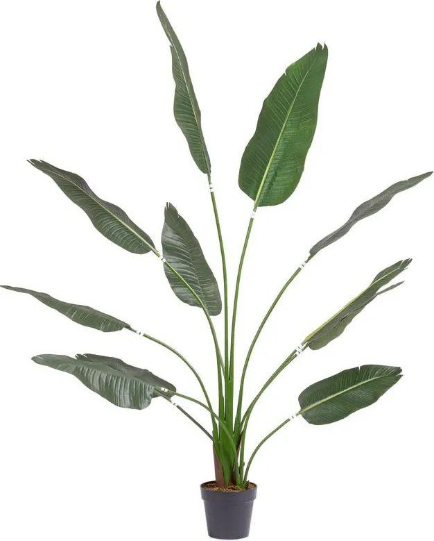 Pianta artificiale da esterno Strelitzia, alt. 180 cm