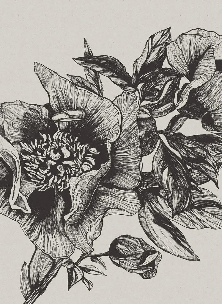 Coordonne Carta da parati panoramica Giant Peonies - Ink