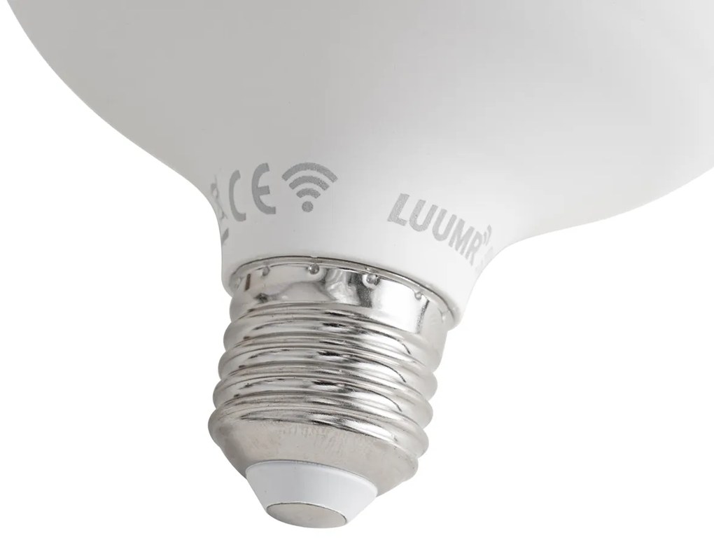 Lampadina LED intelligente E27 RGBW G120 9W 806 lm 2700-6500K