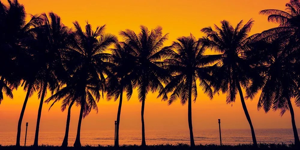 Stampa su tela – Tramonto sulle palme