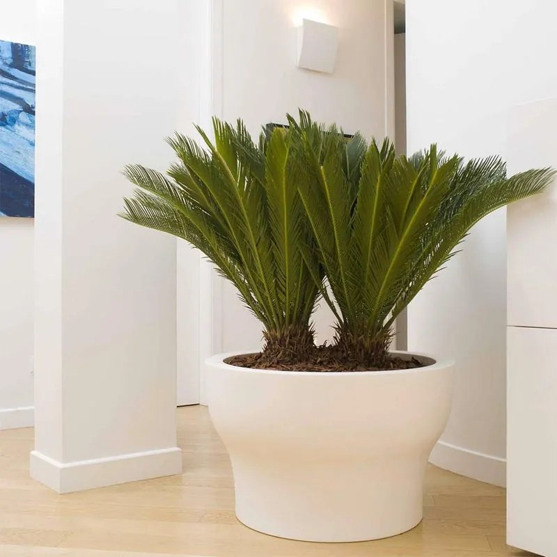 Vaso per piante e fiori Fit PLASTECNIC in polietilene H 50 cm Ø 55 cm