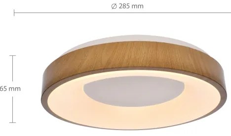 Brilagi - Plafoniera LED DORIA LED/24W/230V
