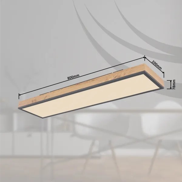 Globo 416080WD4-CCT - Plafoniera LED dimmerabile DORO LED/24W/230V + +TC