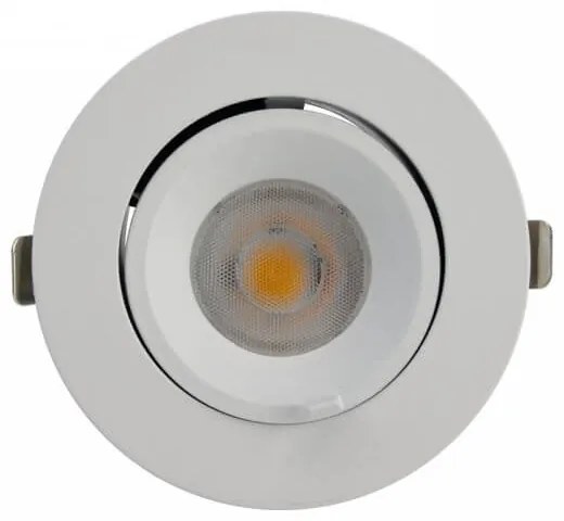 Faro LED da Incasso 15W Orientabile foro Ø100mm con driver Philips Colore Bianco Naturale 4.000K
