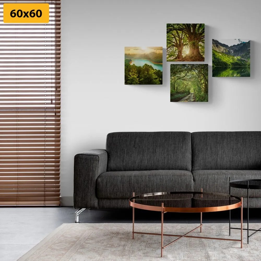 Set di quadri – Splendida natura verde