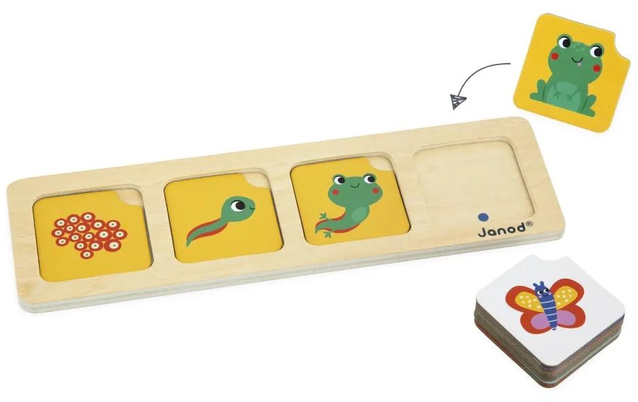 Gioco educativo per bambini - Carte sequenza - Giardino