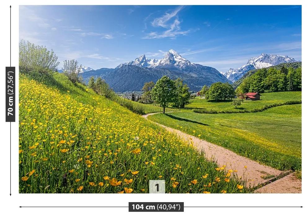 Carta da parati Alpi idilliache 104x70 cm