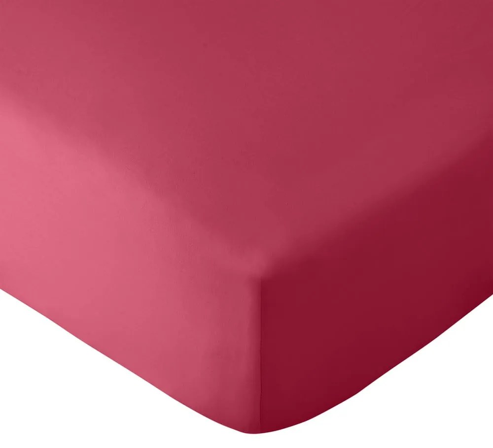 Lenzuolo con angoli rosa scuro in microfibra 185x200 cm So Soft Easy Iron – Catherine Lansfield