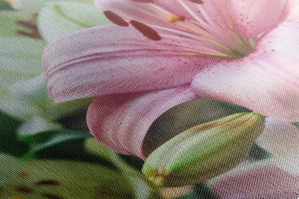 Quadro su tela – Giglio rosa in fiore