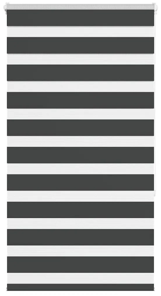 Tenda A Rullo Zebra Nero Larghezza Tessuto 65,9 Cm Poliestere /
