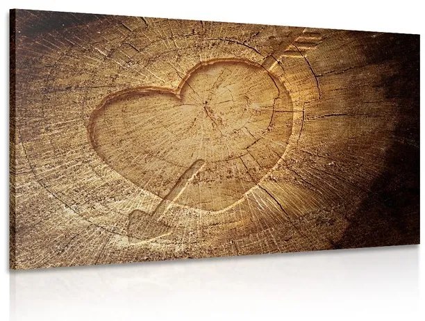 Stampa su tela – Cuore intagliato su tronco