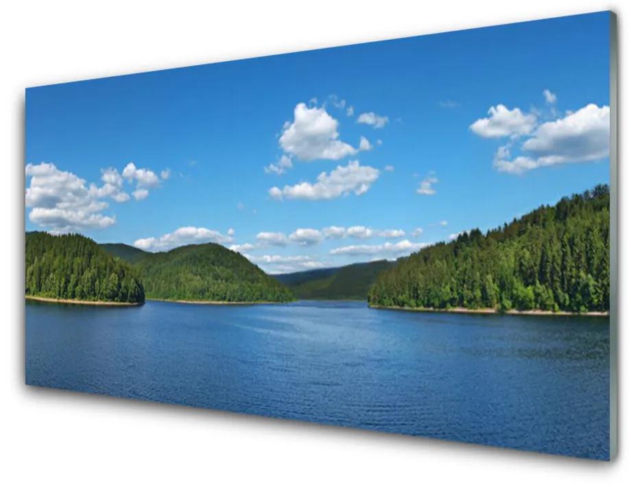 Quadro in vetro acrilico Paesaggio della foresta del lago 100x50 cm