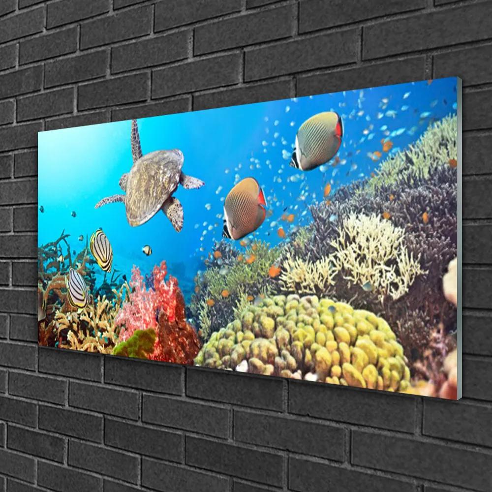 Quadro di vetro Paesaggio della barriera corallina 100x50 cm