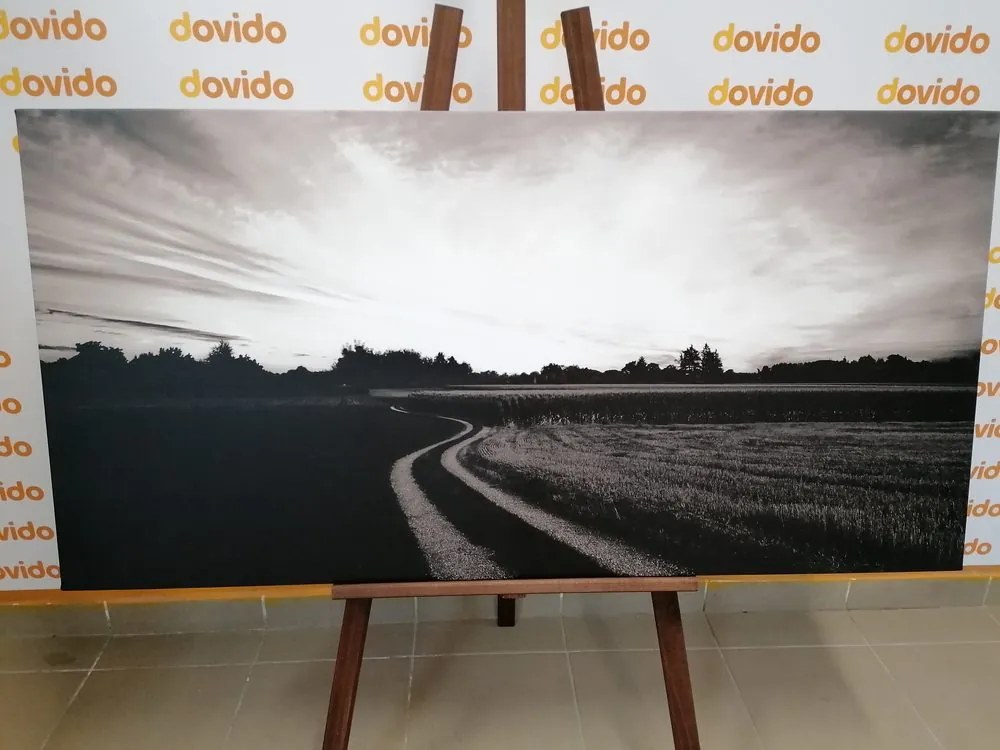 Stampa su tela – Tramonto sul paesaggio in bianco e nero