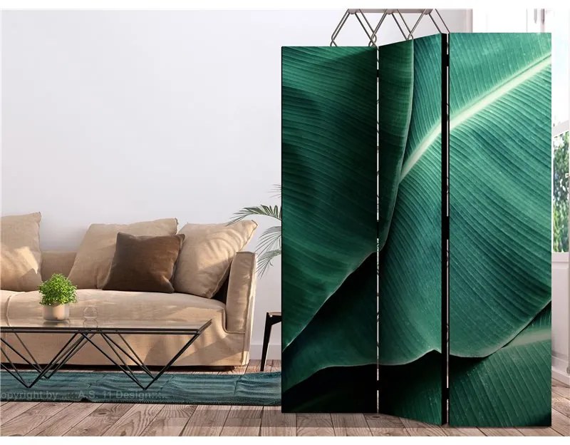 Paravento Banana Leaf [Room Dividers]