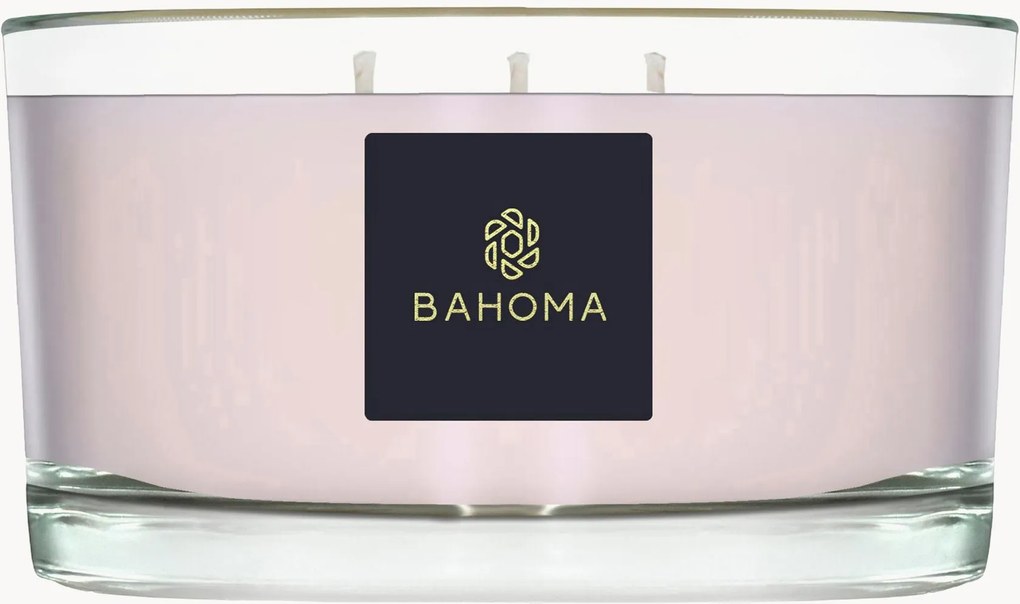 Candela profumata con tre stoppini fatta a mano (peonia vellutata e cashmere)