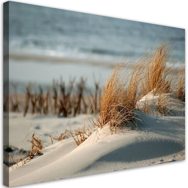 Quadro su tela, Dune by the mare  Dimensioni 100x70