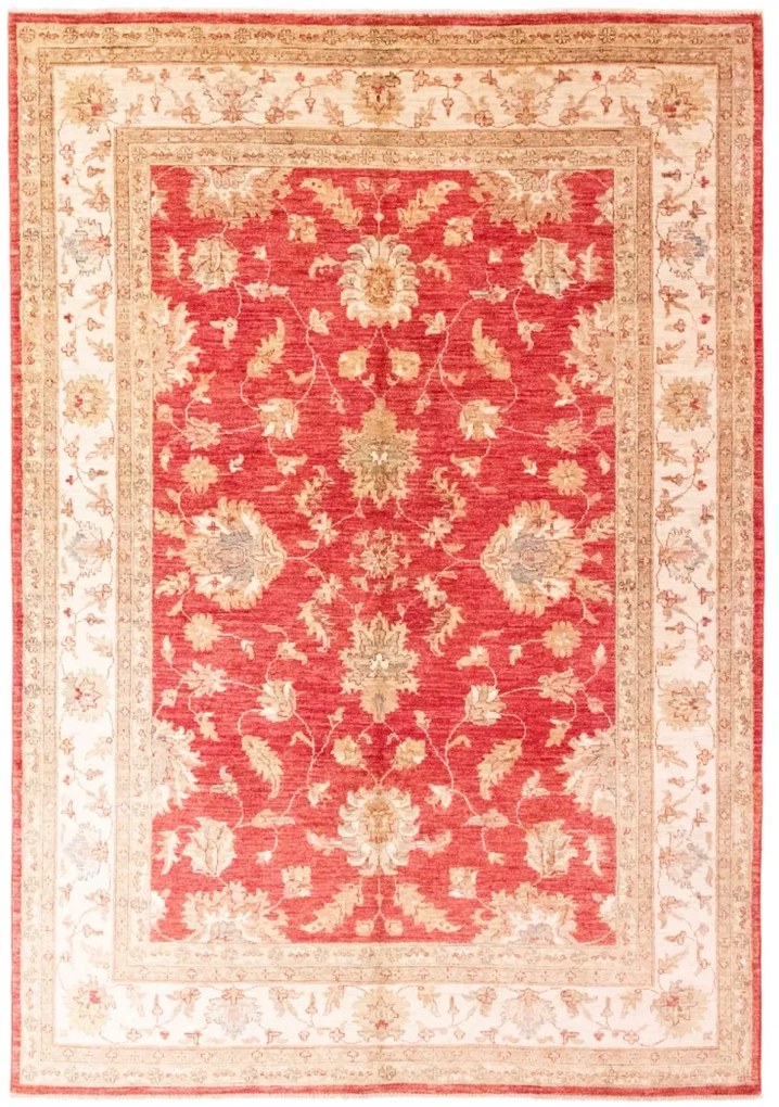 Ziegler Tappeto 170x240 (Afghanistan)