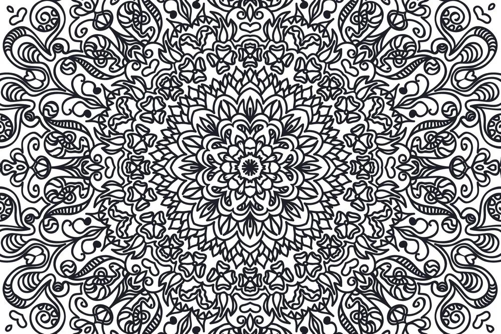 Carta da parati – Ornamento con motivo floreale in bianco e nero
