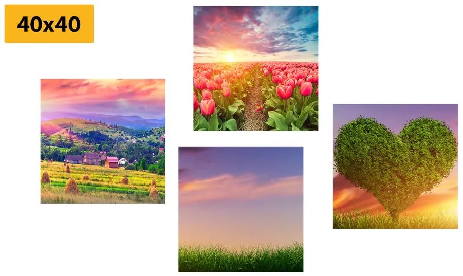 Set di quadri – Natura in colori pastello