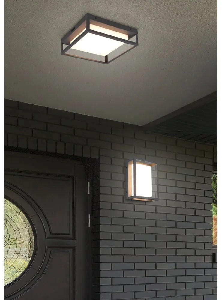 Applique da esterno a LED (altezza 10 cm) Witham - Trio