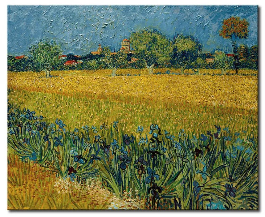 Quadro famoso Veduta di Arles con iris in primo piano