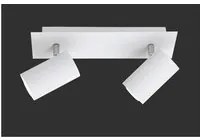 Faretto Da Soffitto 2 Spot Orientabili Marley Bianco Trio Lighting