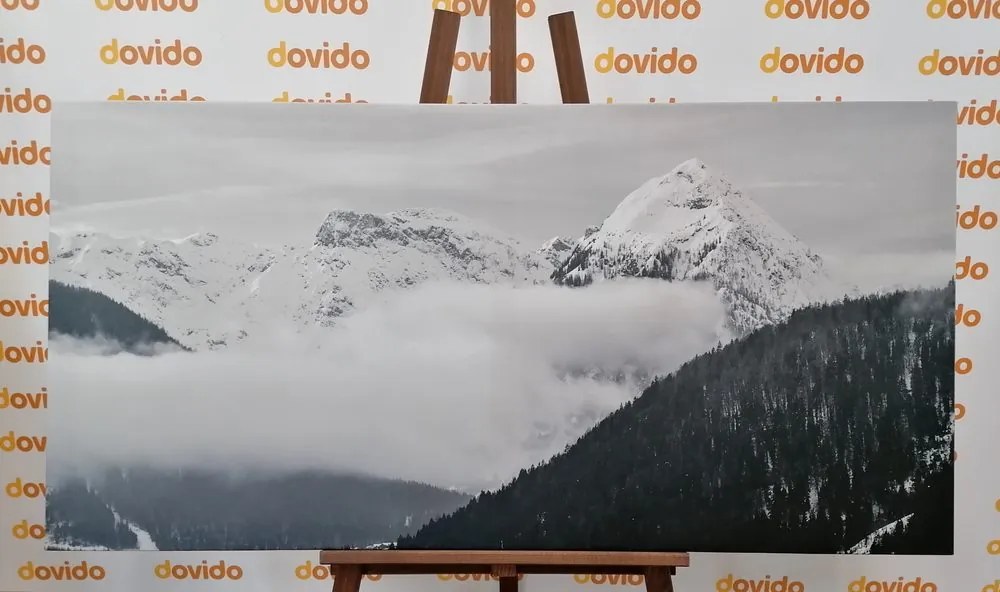 Stampa su tela – Paesaggio invernale in bianco e nero