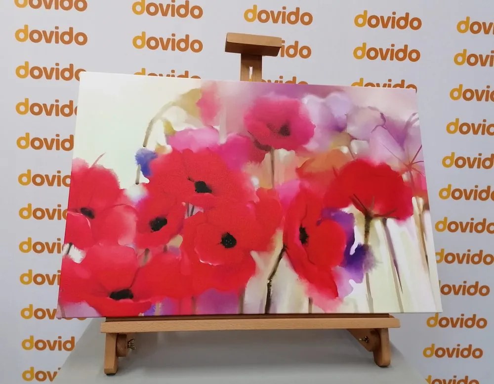 Quadro su tela – Splendidi papaveri disegnati