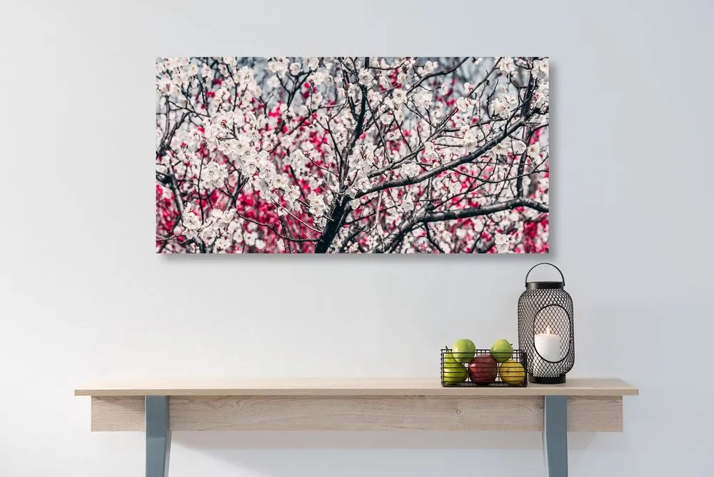 Quadro su tela – Fiori di pesco
