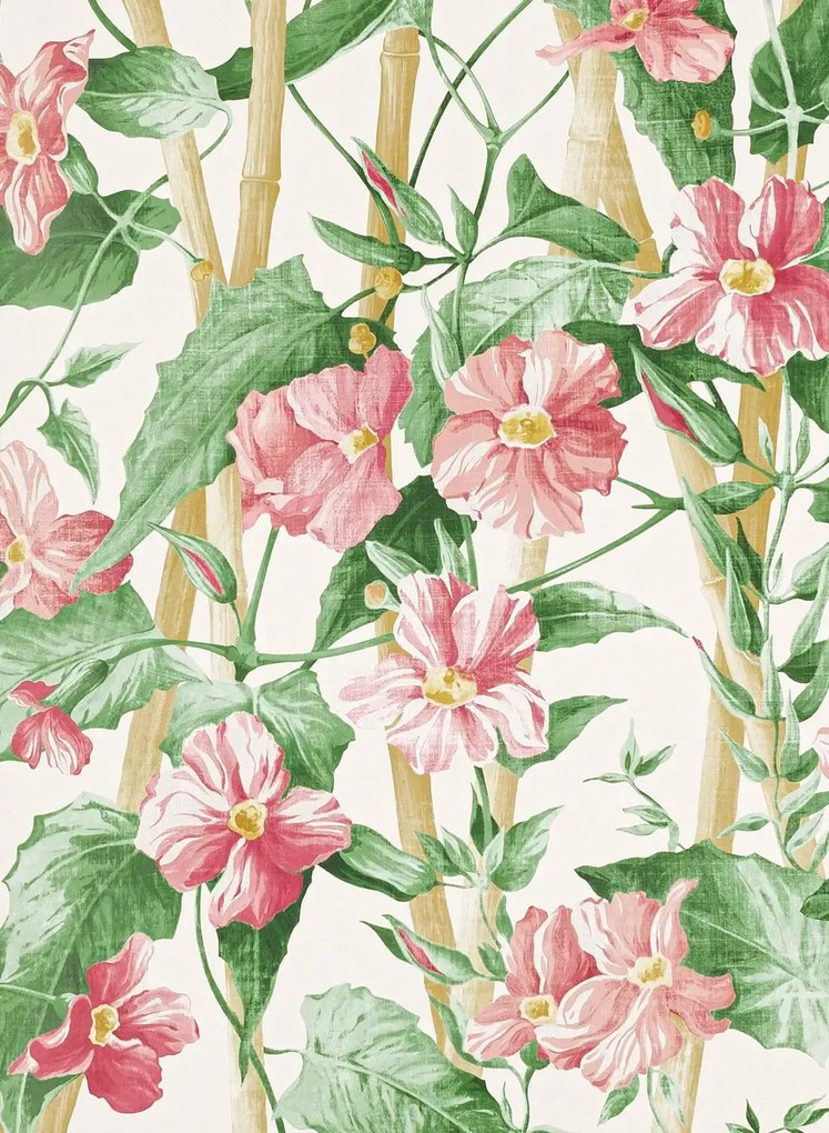 Manuel Canovas Carta da parati Elena - Peche