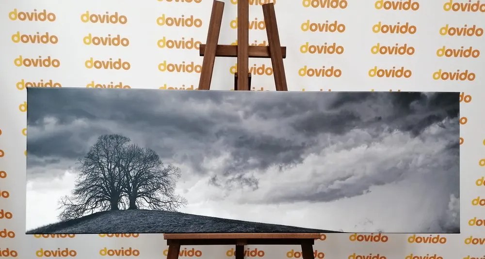Stampa su tela – Alberi solitari in bianco e nero