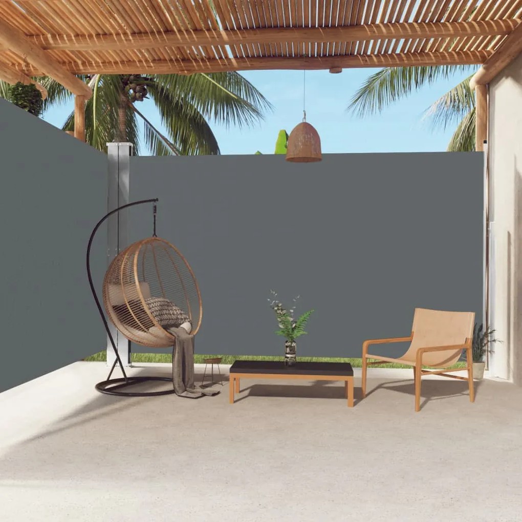 Tenda Da Sole Laterale Retrattile Antracite 220x600 Cm /