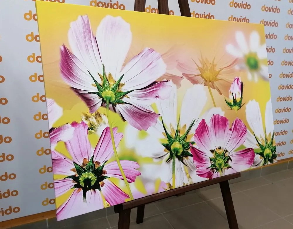 Quadro su tela – Fiori estivi