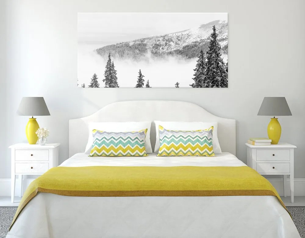 Quadro su tela – Alberi di pino innevati in bianco e nero