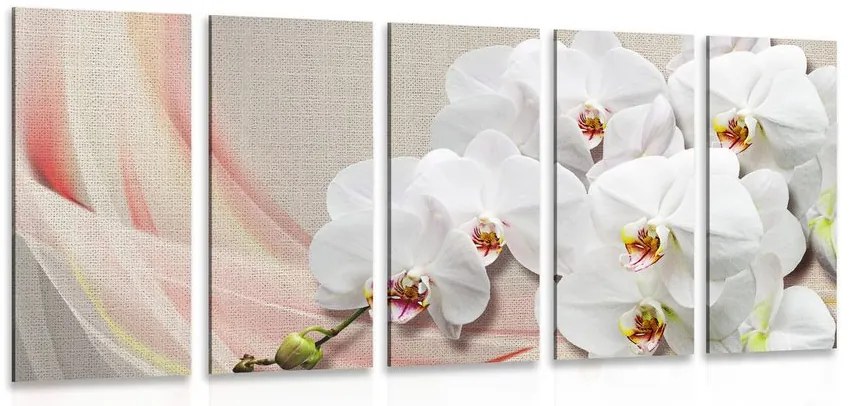 Quadri 5 pezzi – Orchidea bianca su tela