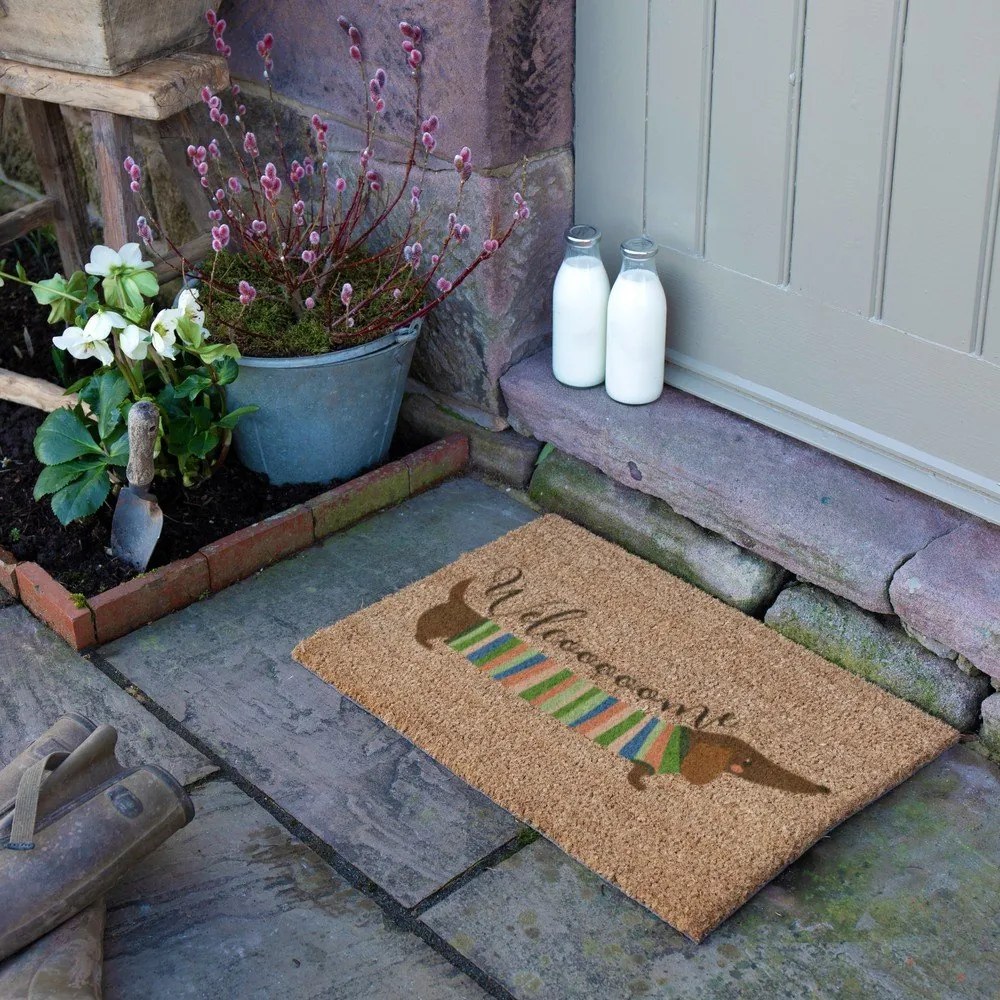 Zerbino in fibre di cocco 40x60 cm Welcome Sausage Dog – Artsy Doormats