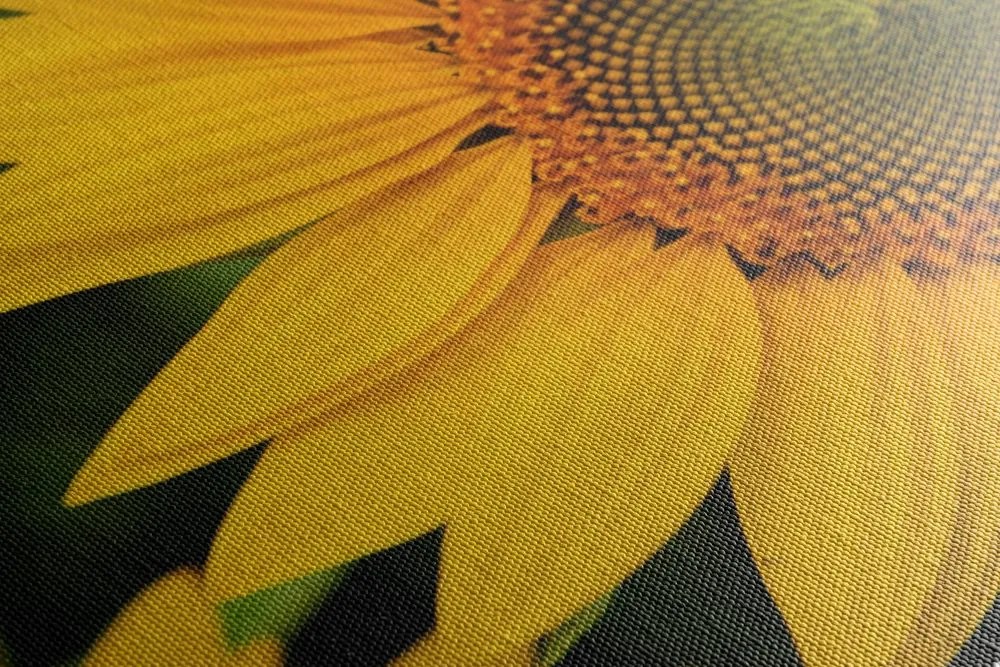 Stampa su tela – Girasole giallo