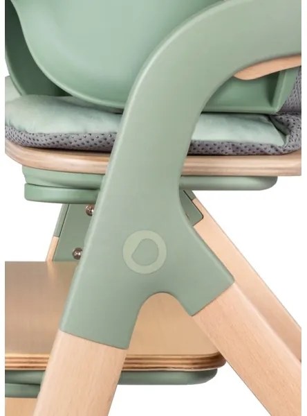 Lionelo - Seggiolone da pappa 3 in 1 MEGAN Legno Verde