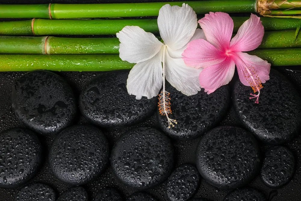 Carta da parati – Natura morta wellness