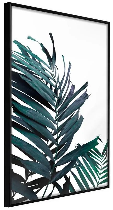 Poster Evergreen Palm Leaves  Cornice Quadri Cornice nera, Larghezza x Altezza Home decor 30x45