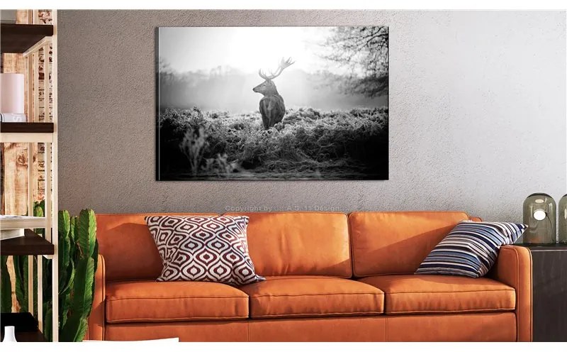 Quadro Black and White Deer  Colore bianco e nero, Dimensioni e Misure 120x80