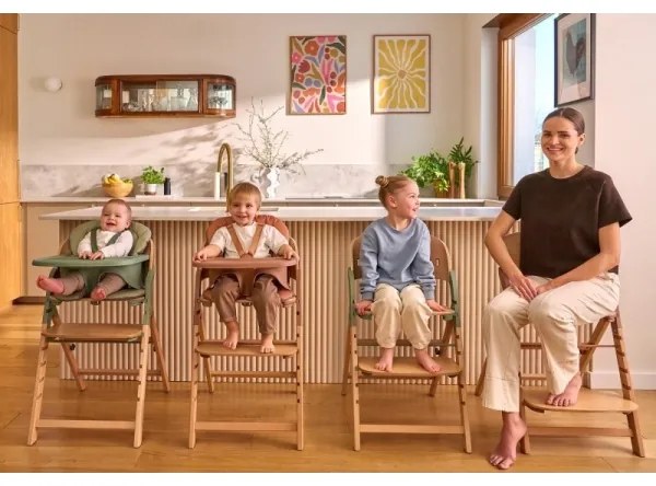 Lionelo - Seggiolone da pappa 3 in 1 MEGAN Legno Verde