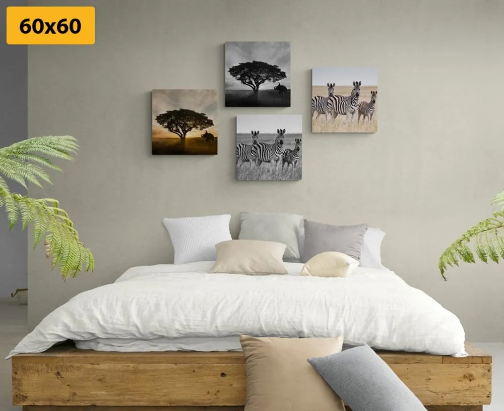 Set di quadri – Animali che vivono nella Savana